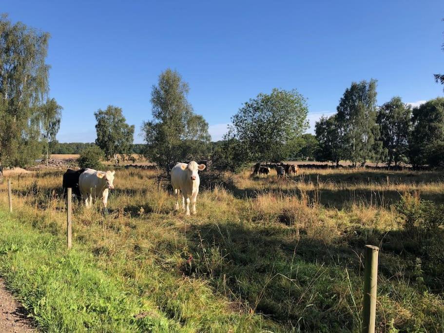 Sagolikt Laege Med Havsutsikt I Roerum Pa Oesterlen Villa Simrishamn Exterior photo