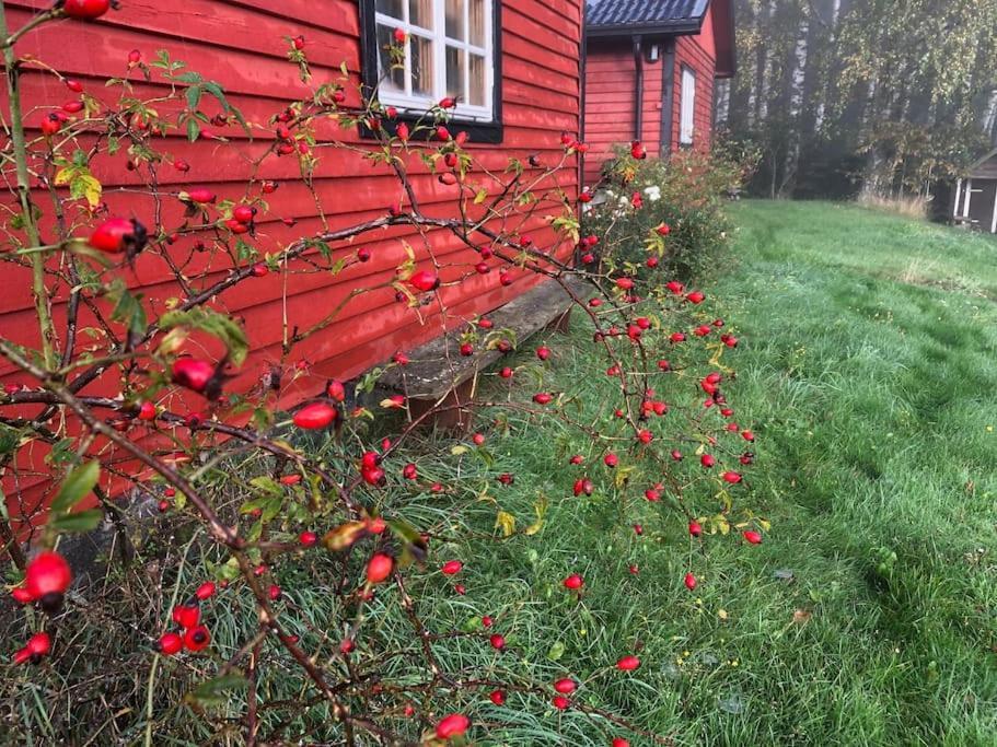 Sagolikt Laege Med Havsutsikt I Roerum Pa Oesterlen Villa Simrishamn Exterior photo