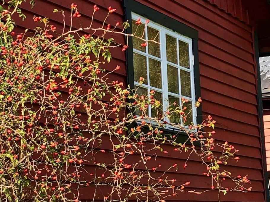 Sagolikt Laege Med Havsutsikt I Roerum Pa Oesterlen Villa Simrishamn Exterior photo